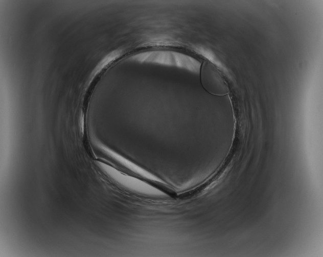 X0000085261221200703301825