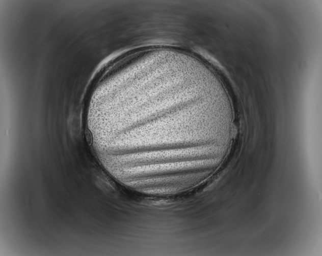 X0000085261222200703301825