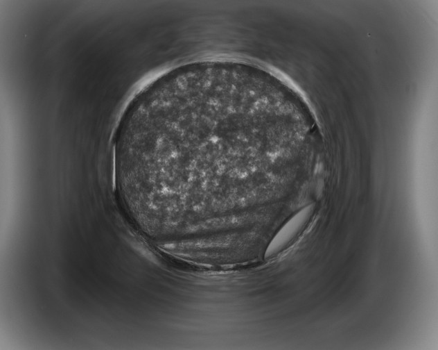 X0000085261223200703301825