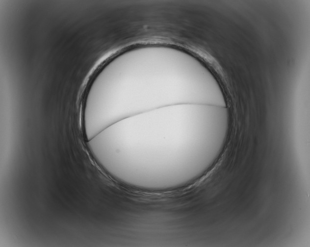 X0000085261224200703301825