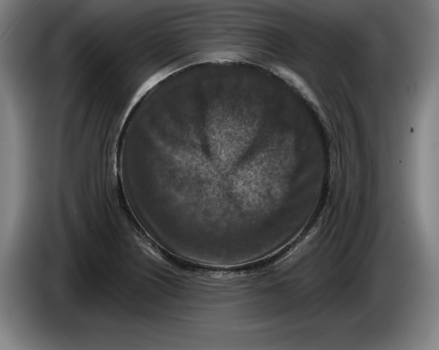 X0000085261226200703301825