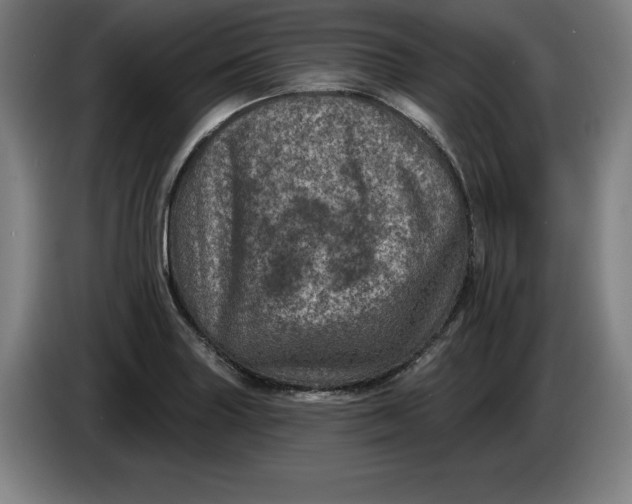 X0000085261227200703301825