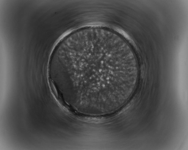 X0000085261229200703301825