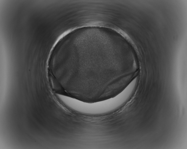 X0000085261230200703301825