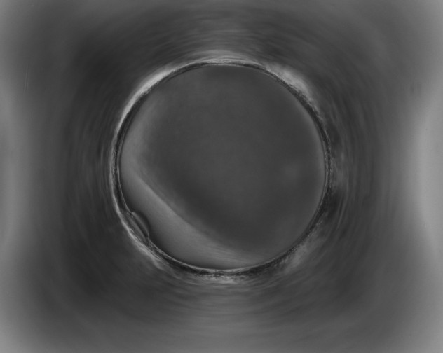 X0000085261231200703301825