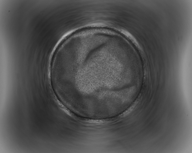 X0000085261232200703301825