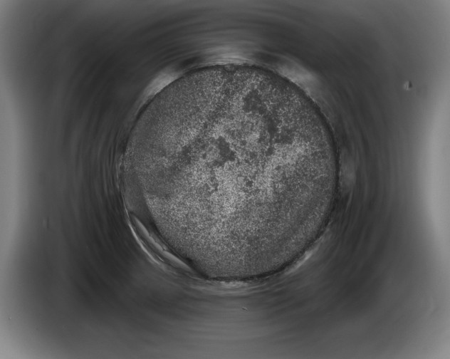 X0000085261233200703301825