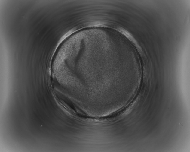 X0000085261234200703301825