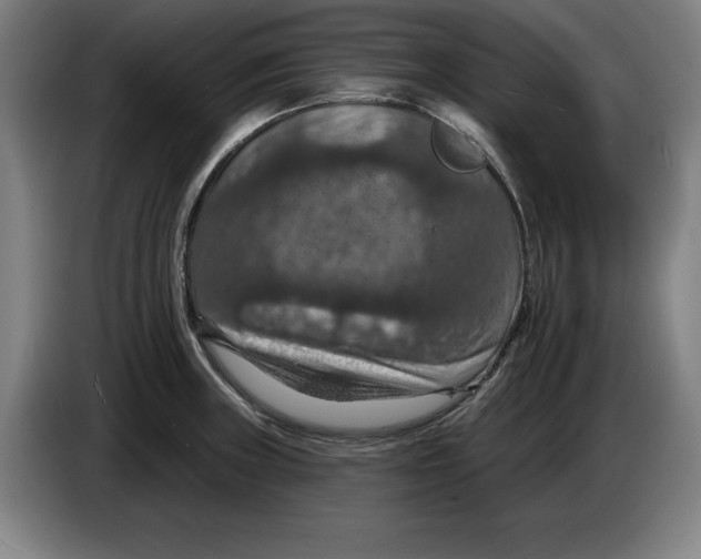 X0000085261235200703301825