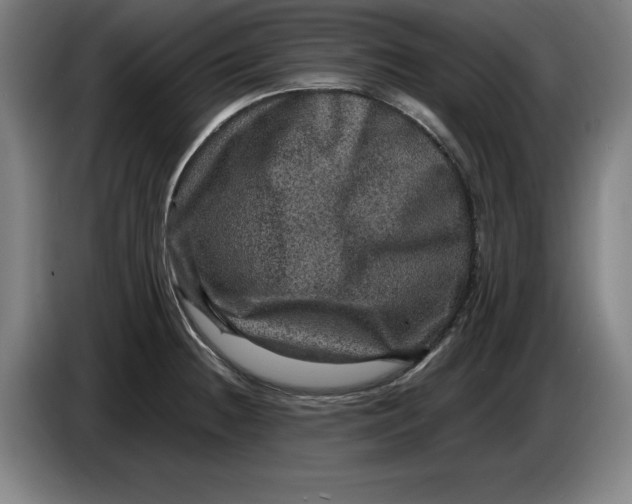 X0000085261236200703301825