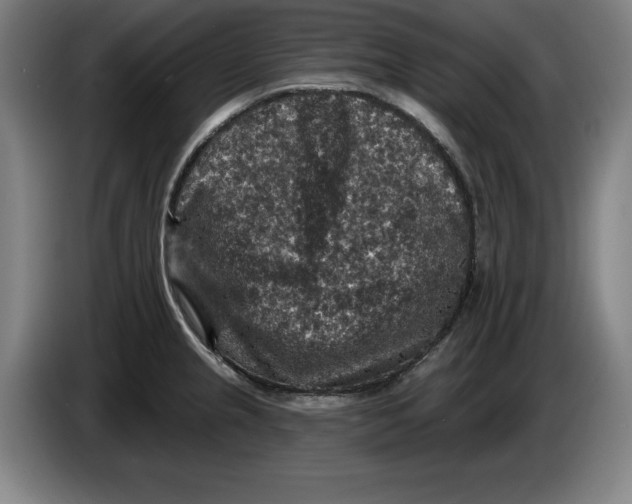 X0000085261237200703301825