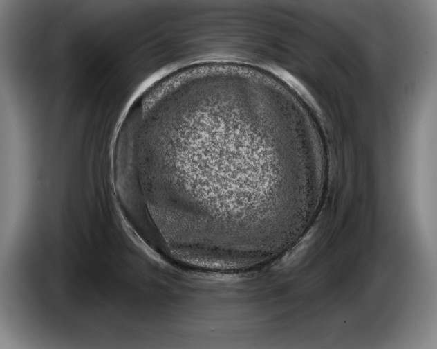 X0000085261238200703301825