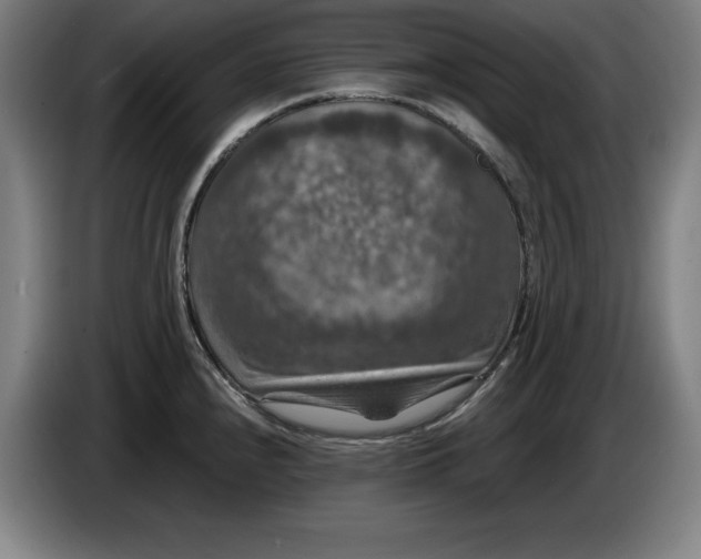 X0000085261240200703301826