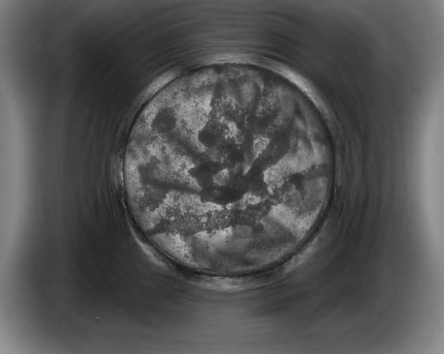 X0000085261241200703301826