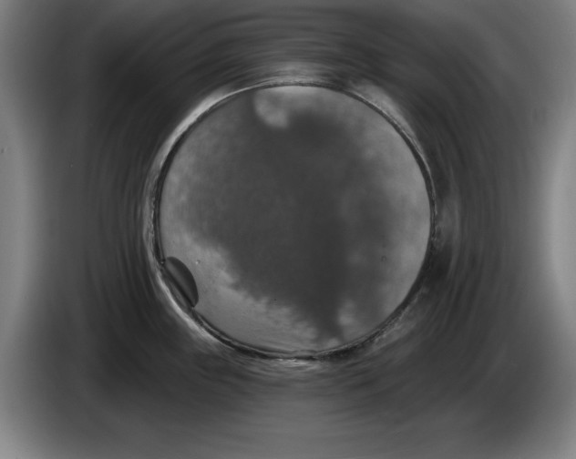 X0000085261243200703301826