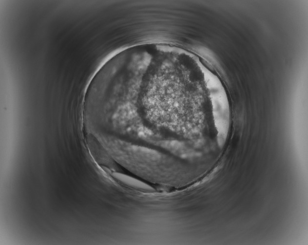 X0000085261244200703301826