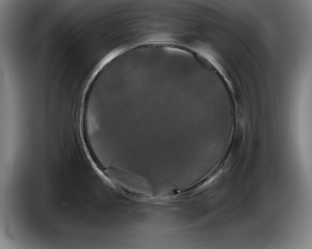 X0000085261245200703301826