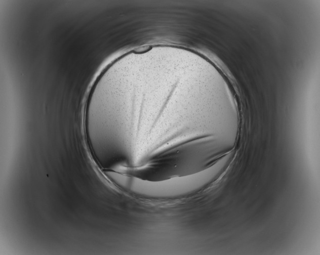 X0000085261246200703301826