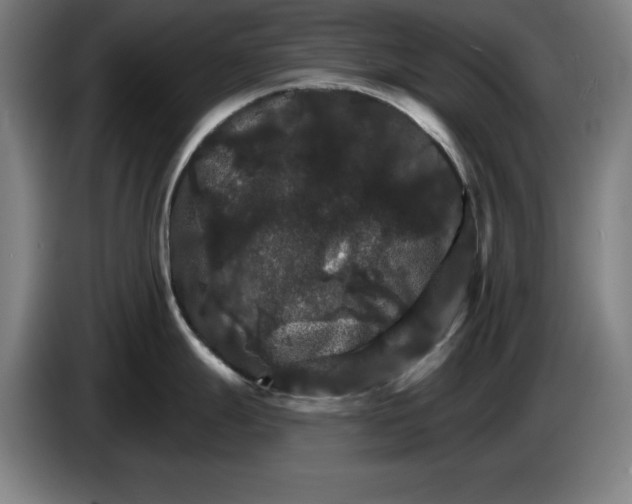 X0000085261247200703301826