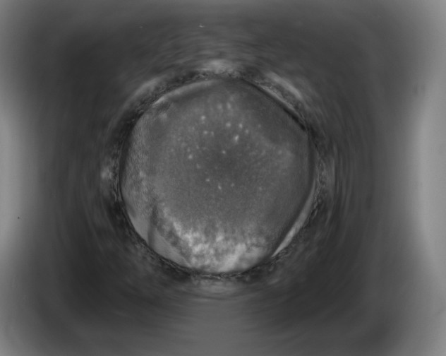 X0000085261254200703301825