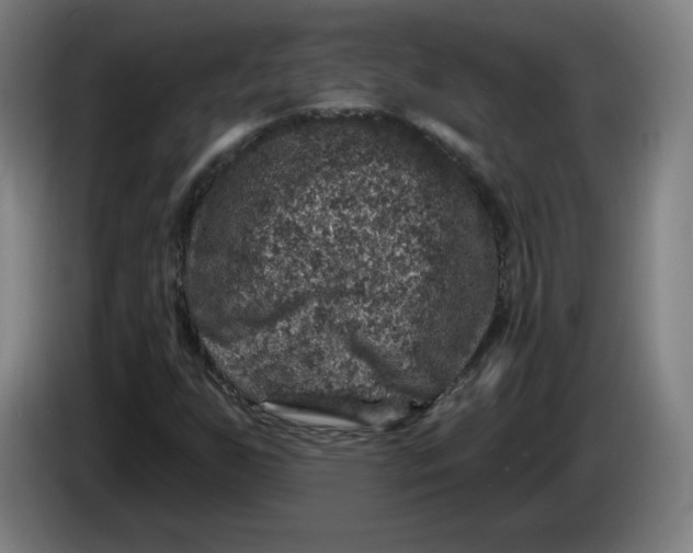 X0000085261255200703301825