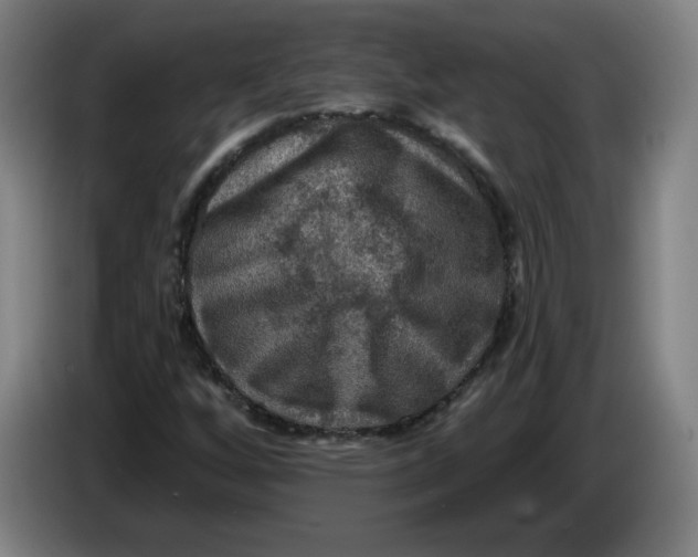 X0000085261256200703301825