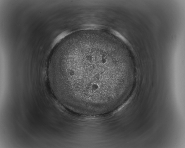 X0000085261259200703301825