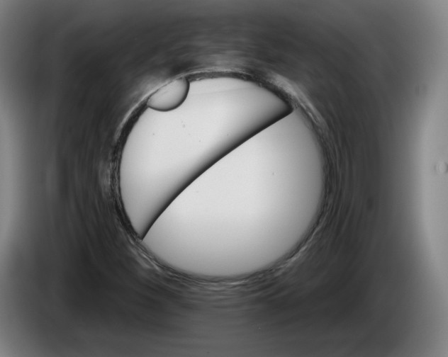 X0000085261260200703301825