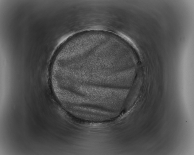 X0000085261264200703301825