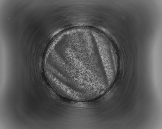 X0000085261265200703301825