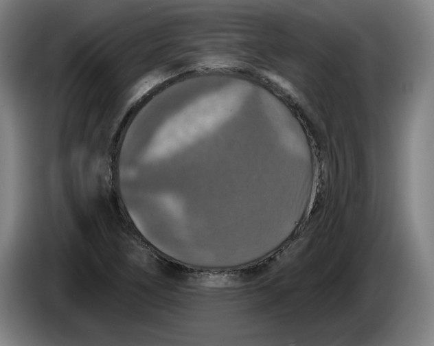 X0000085261266200703301825