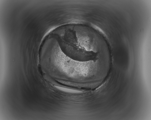 X0000085261267200703301825