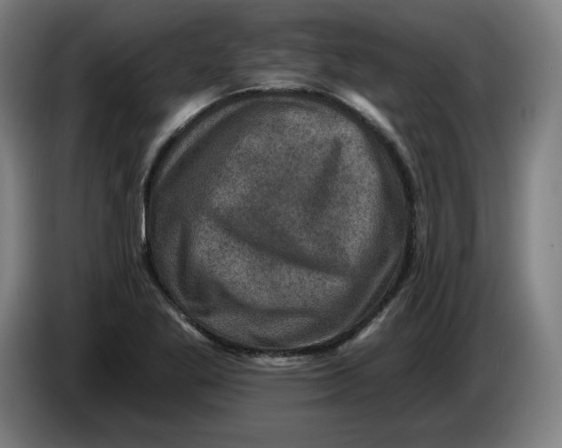 X0000085261269200703301825