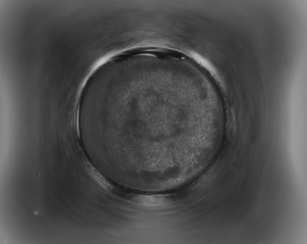 X0000085261272200703301825