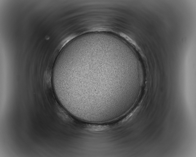 X0000085261273200703301825