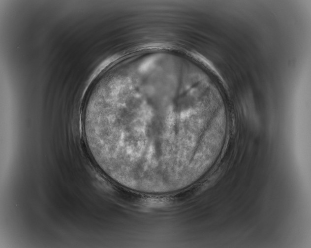 X0000085261274200703301825