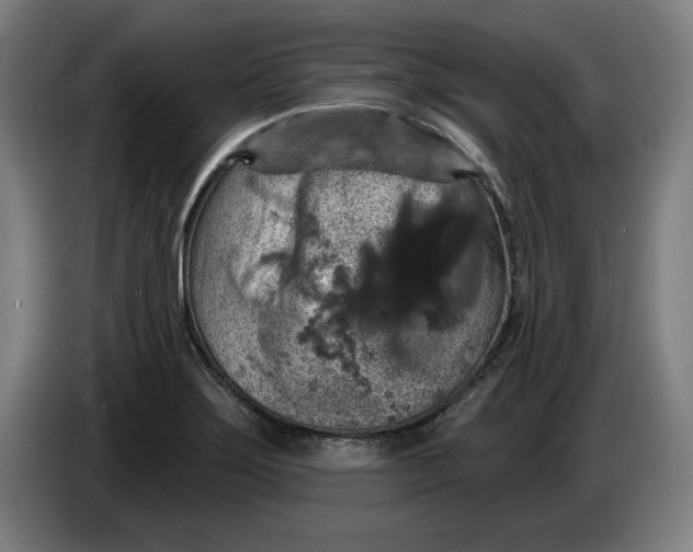 X0000085261275200703301825