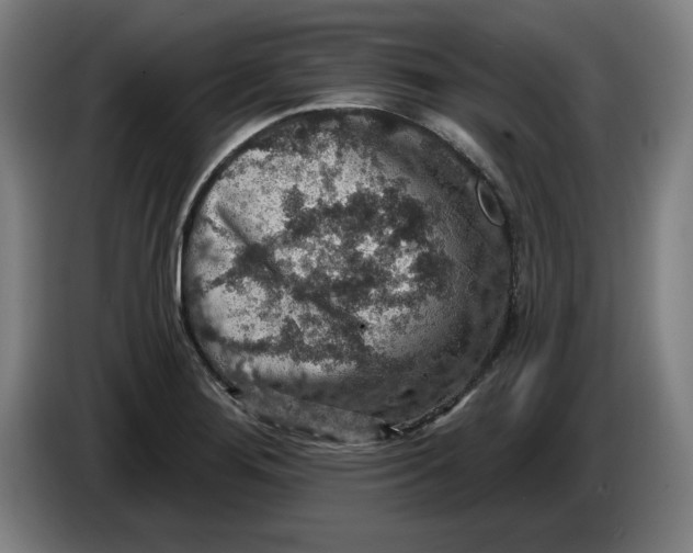 X0000085261276200703301825