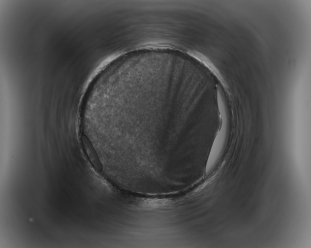 X0000085261277200703301825