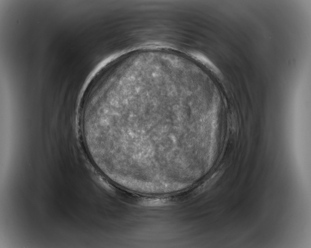 X0000085261278200703301825