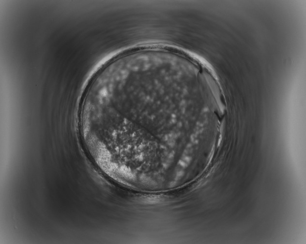 X0000085261279200703301825