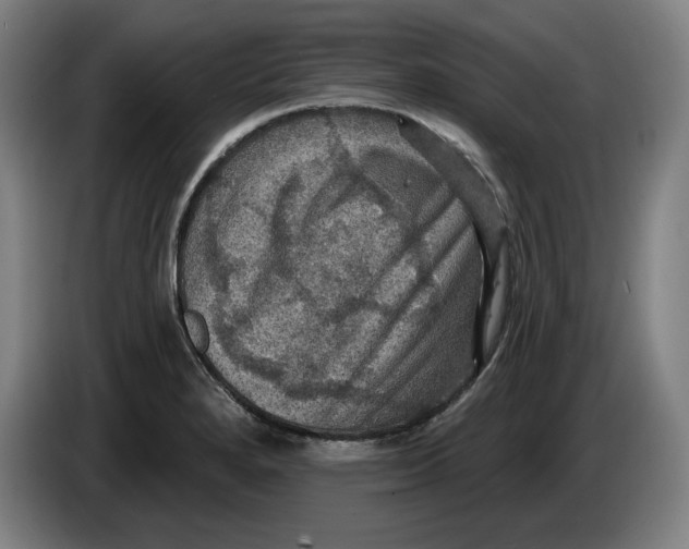 X0000085261280200703301825