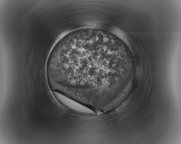 X0000085261283200703301824