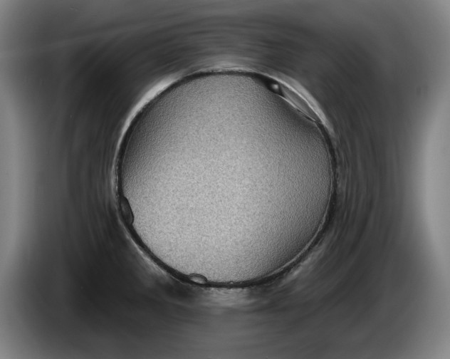 X0000085261285200703301824