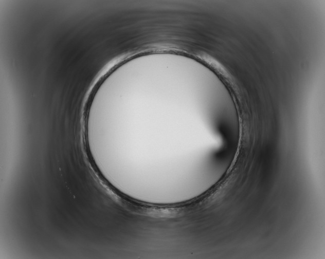 X0000085261286200703301824