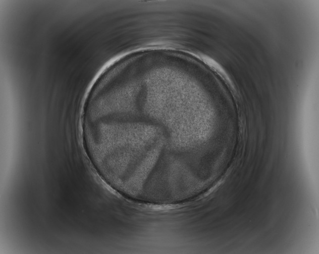 X0000085261288200703301824