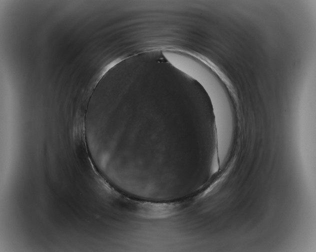 X0000085261289200703301824