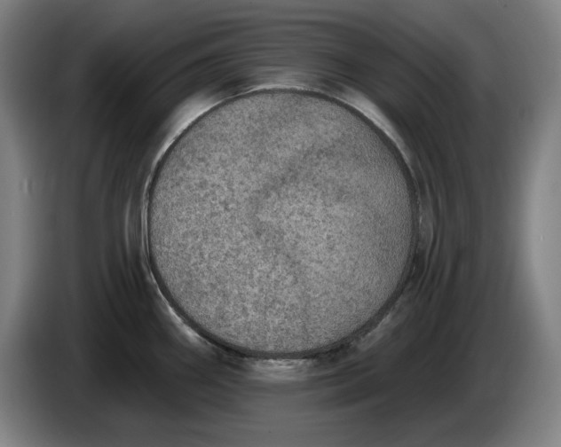 X0000085261290200703301824