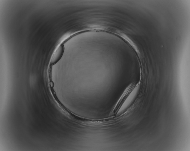 X0000085261291200703301824