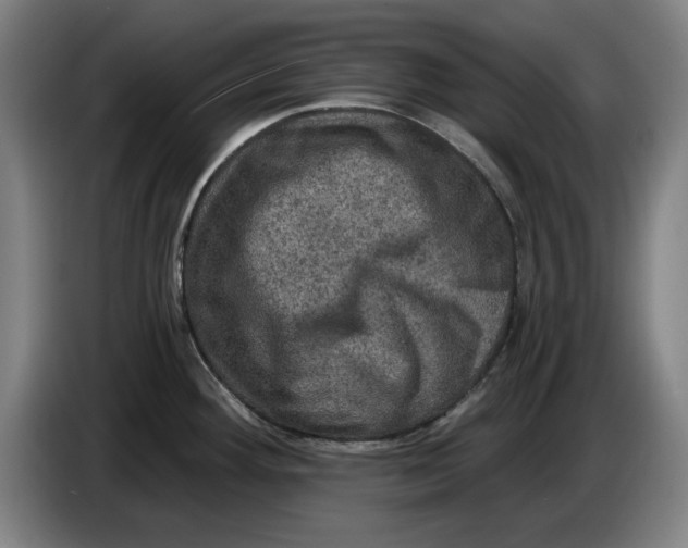 X0000085261292200703301824